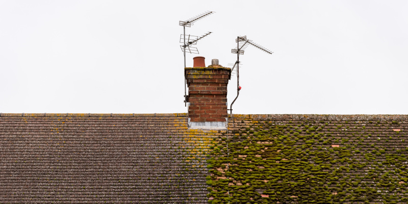 Four Ways Roof Cleaning Benefits Your Home Beyond Appearance