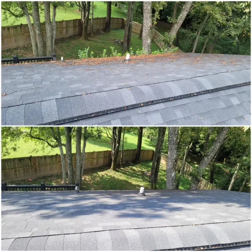 Gutter Cleaning Nashville TN